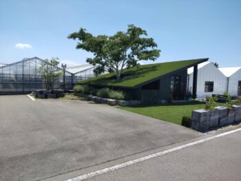 トマト♪